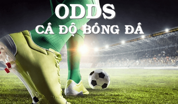 Odds trong cá độ bóng đá là gì? Cách soi odds hiệu quả