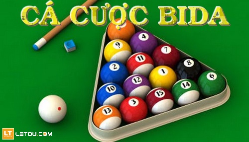 ca-cuoc-bida